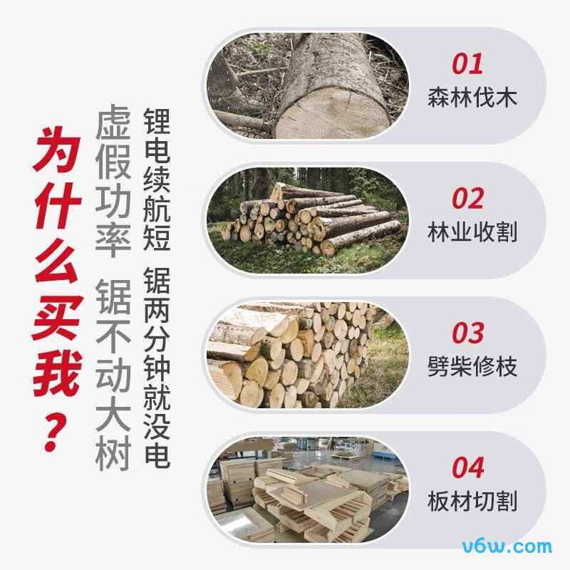 星固12寸电链锯图片