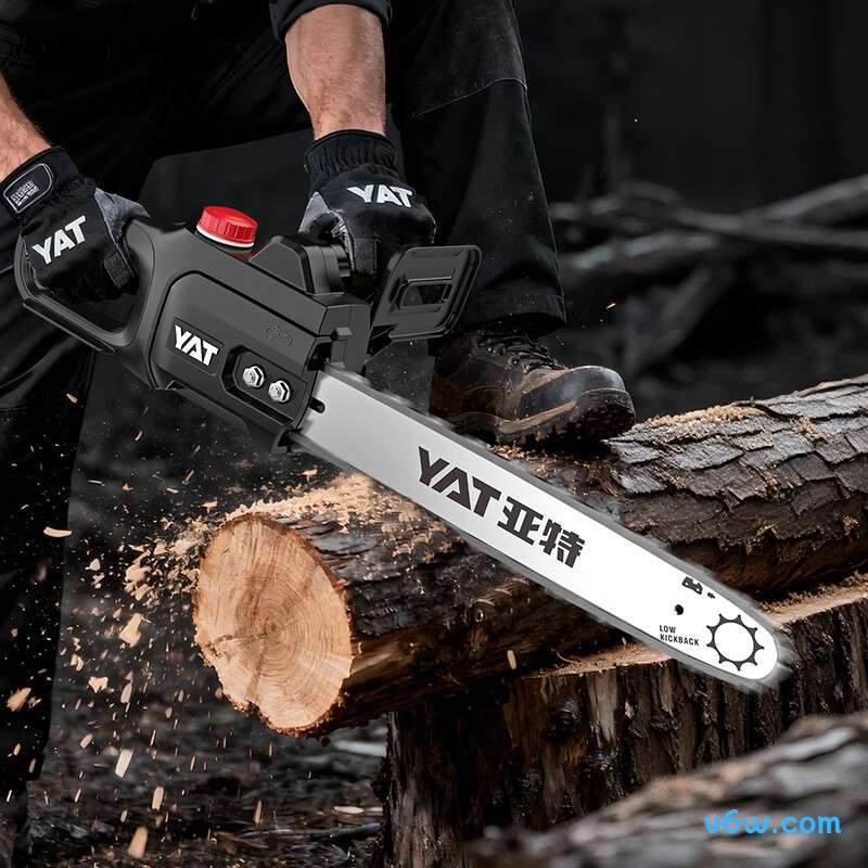 亚特E1001-J电链锯图片