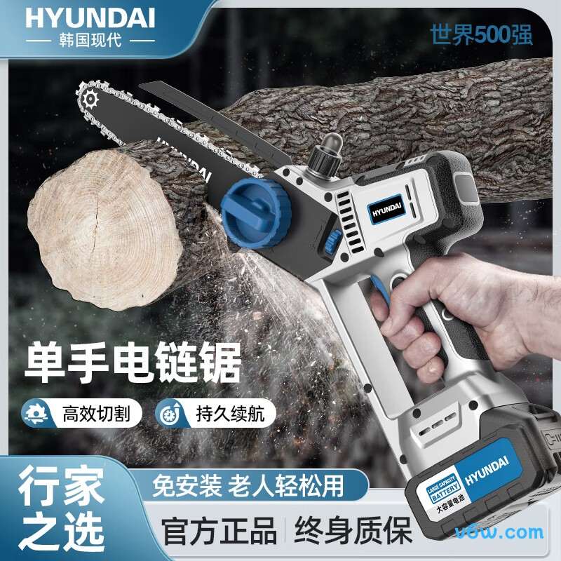 HYUNDAI-XD-LDJ-J8L电链锯图片