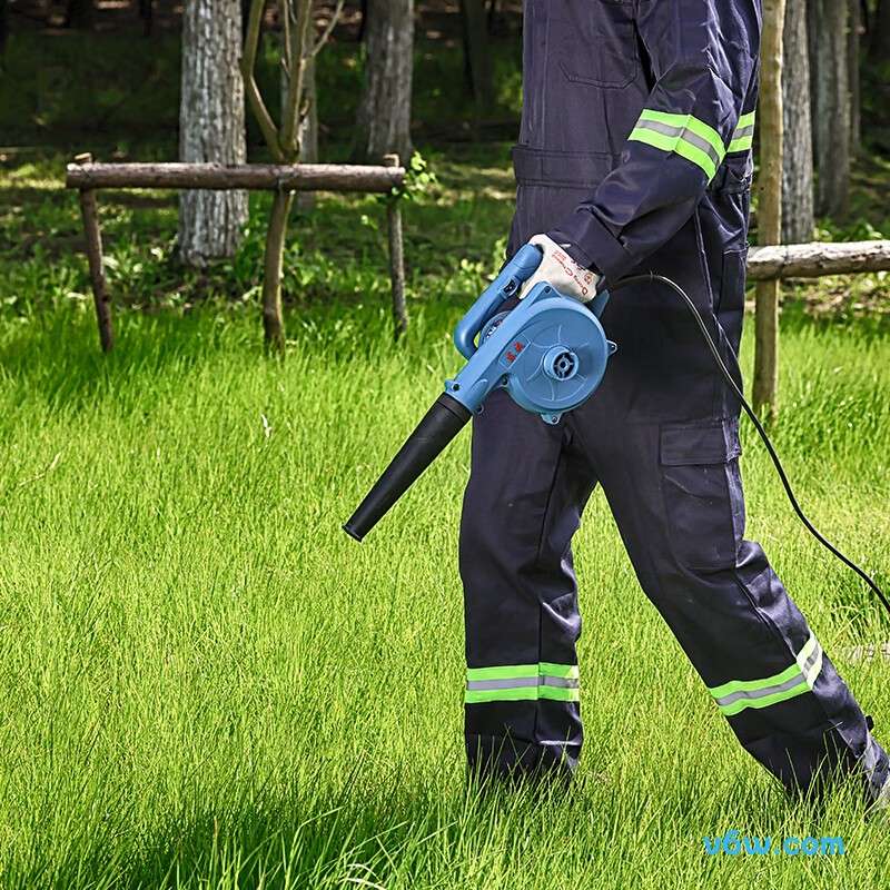 东成WQF680-32鼓风机图片