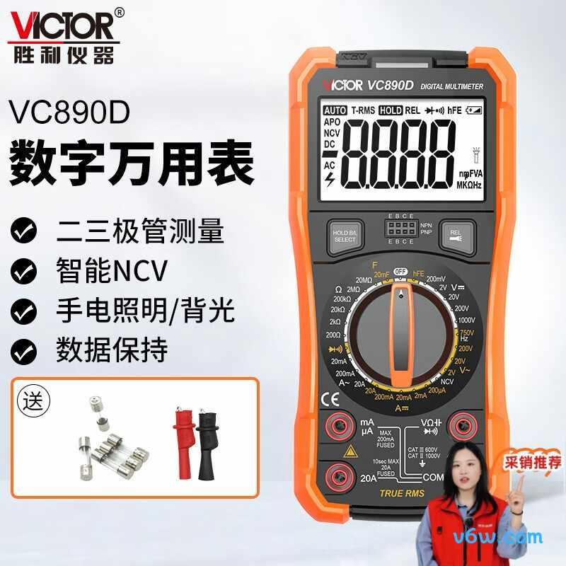 胜利仪器VC890D
