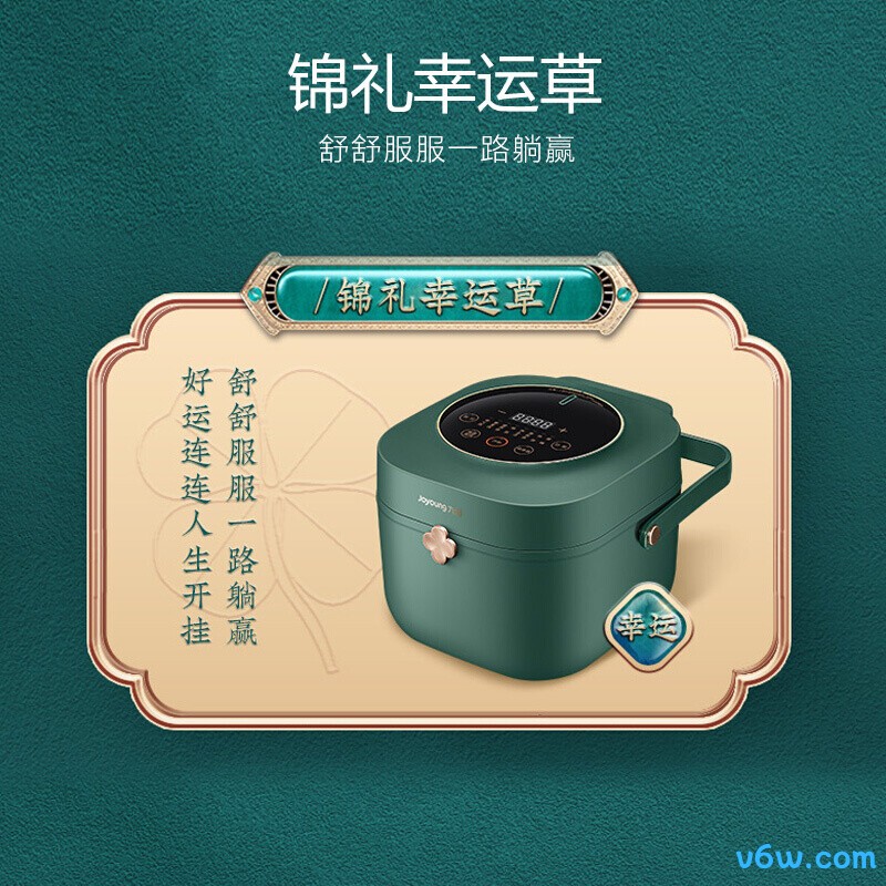 九阳F20FZ-F131(B)电饭煲图片