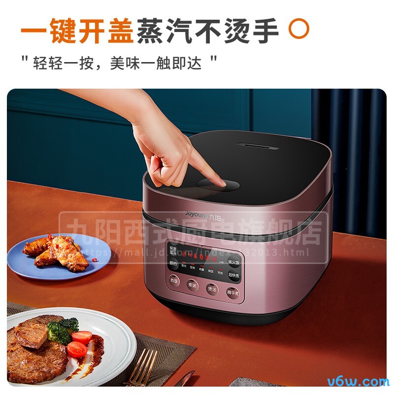 九阳F-30FZ619-A电饭煲图片