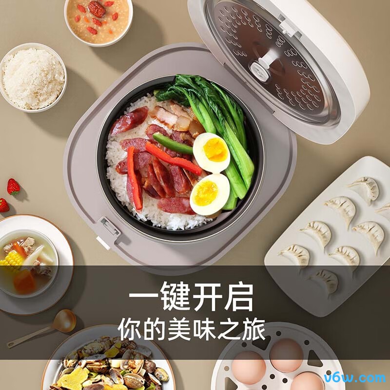 志高MN20-A电饭煲图片