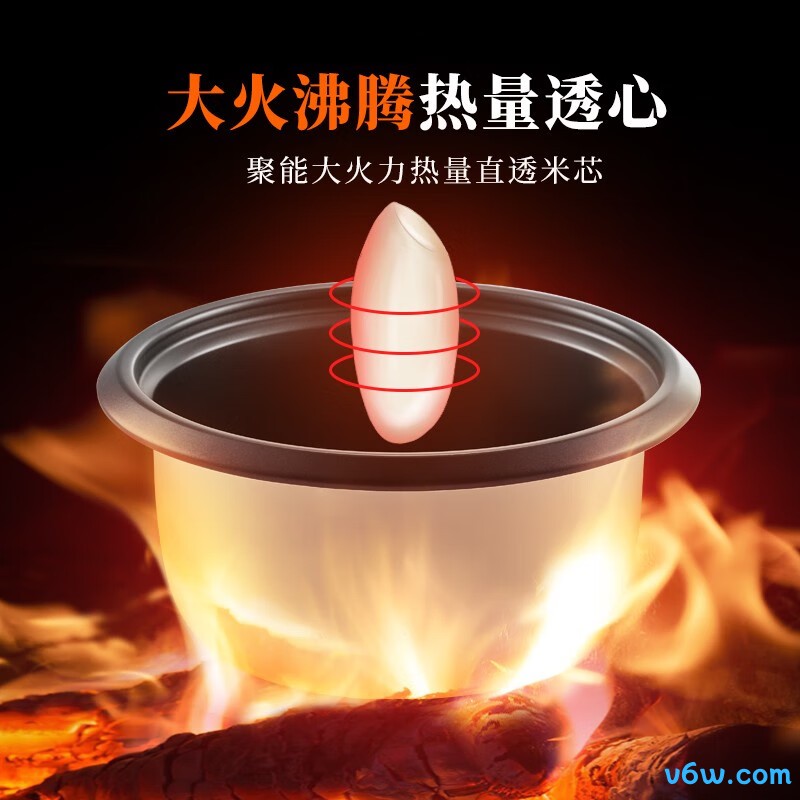 半球MW-DS50A1-G电饭煲图片