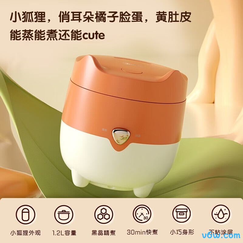 美的FB12X1-105B电饭煲图片