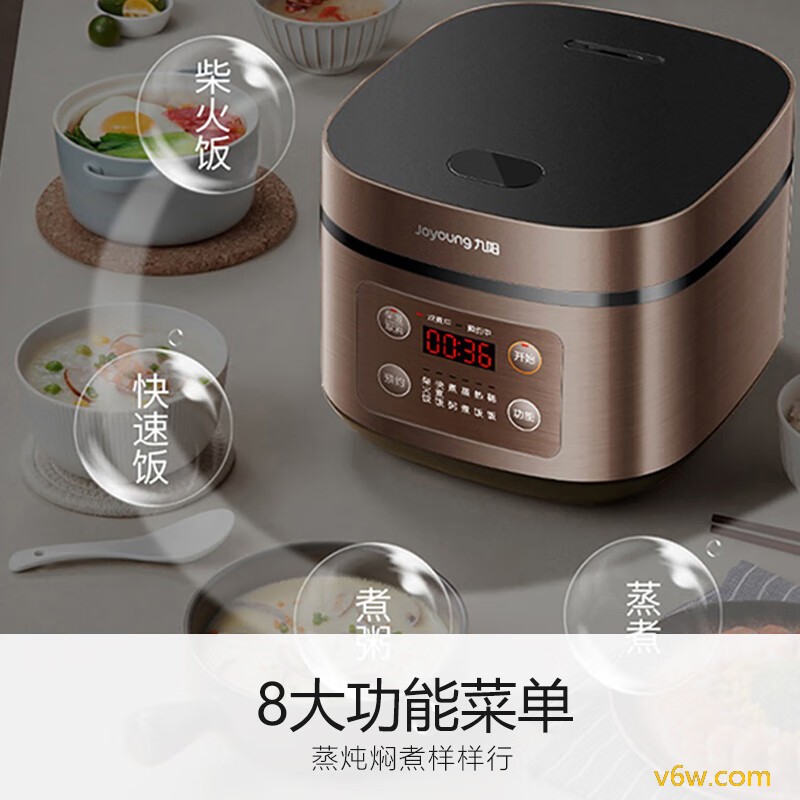 九阳F-50FZ821电饭煲图片