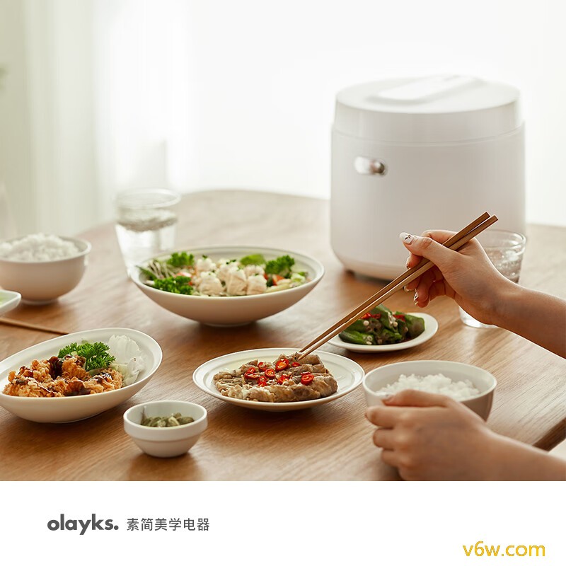 欧莱克OLK-20D电饭煲图片