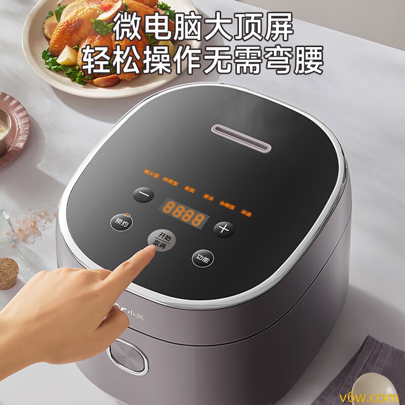 小熊DFB-P30L6电饭煲图片