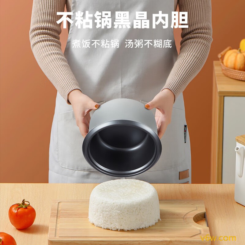 半球GM-FH20电饭煲图片