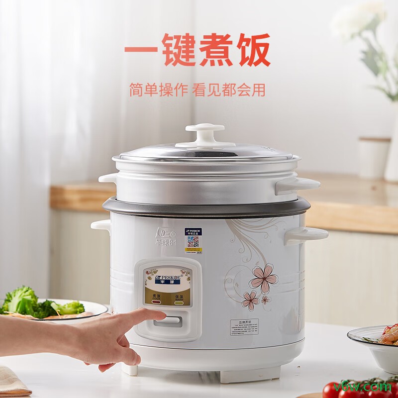 半球WDF-300W电饭煲图片