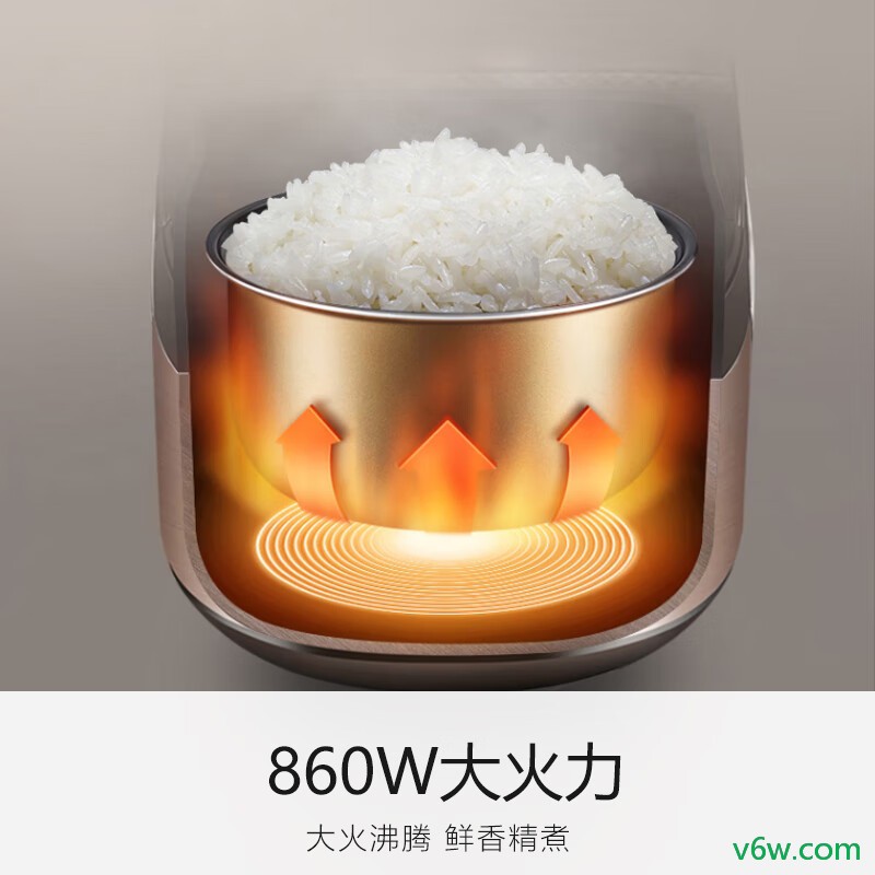 九阳F-50FZ810电饭煲图片