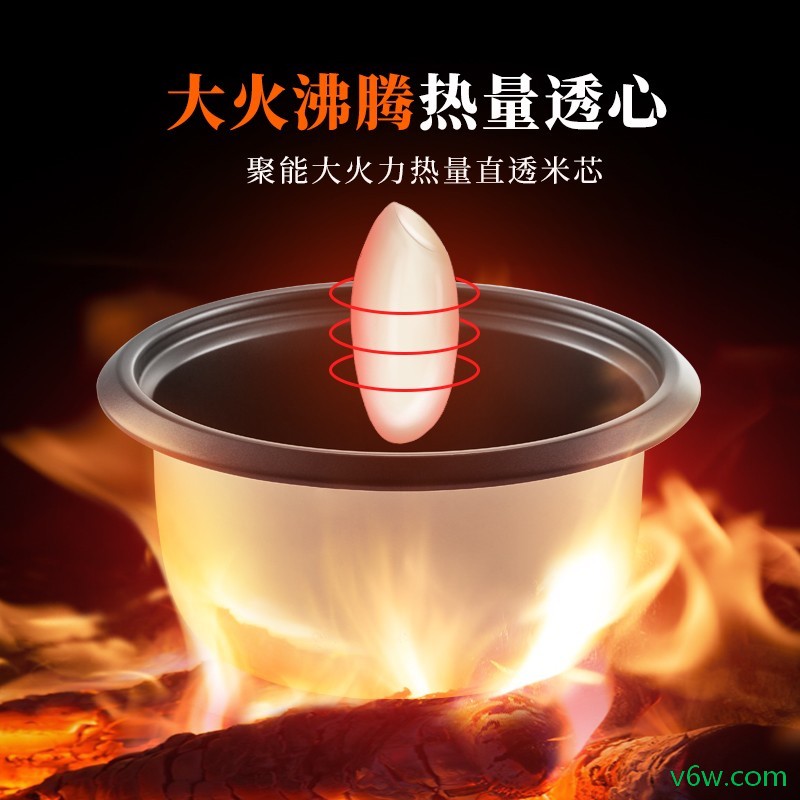 半球MW-DS30A1-G电饭煲图片