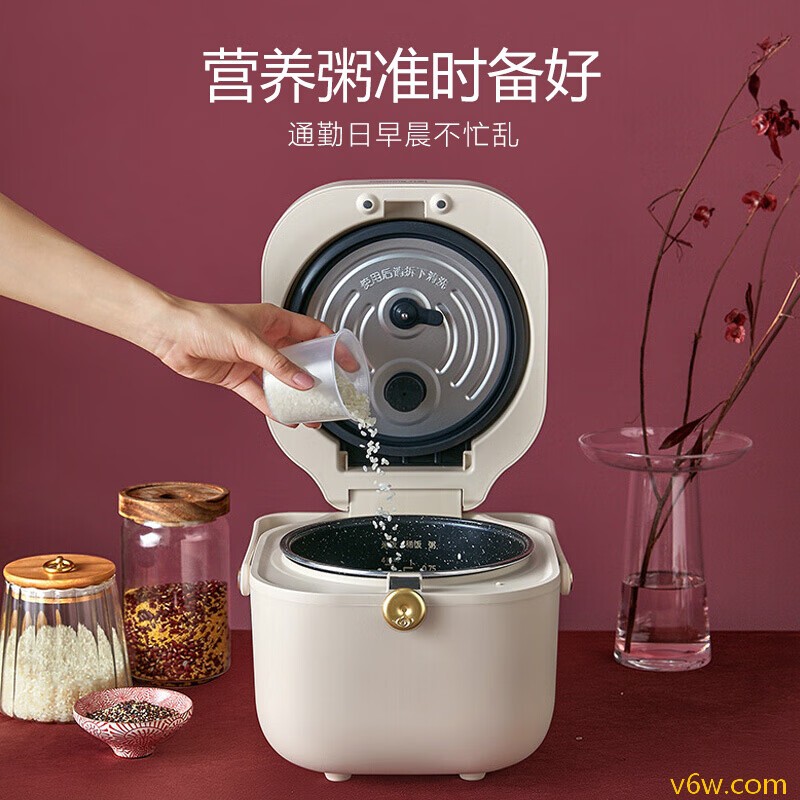 九阳F20FZ-F131(B)电饭煲图片