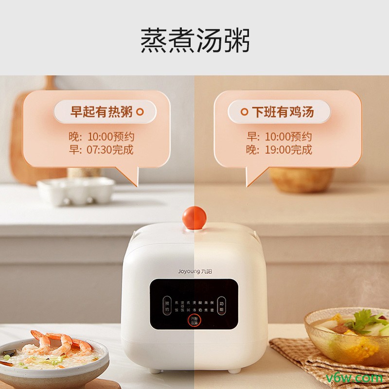 九阳F15FZ-F121电饭煲图片