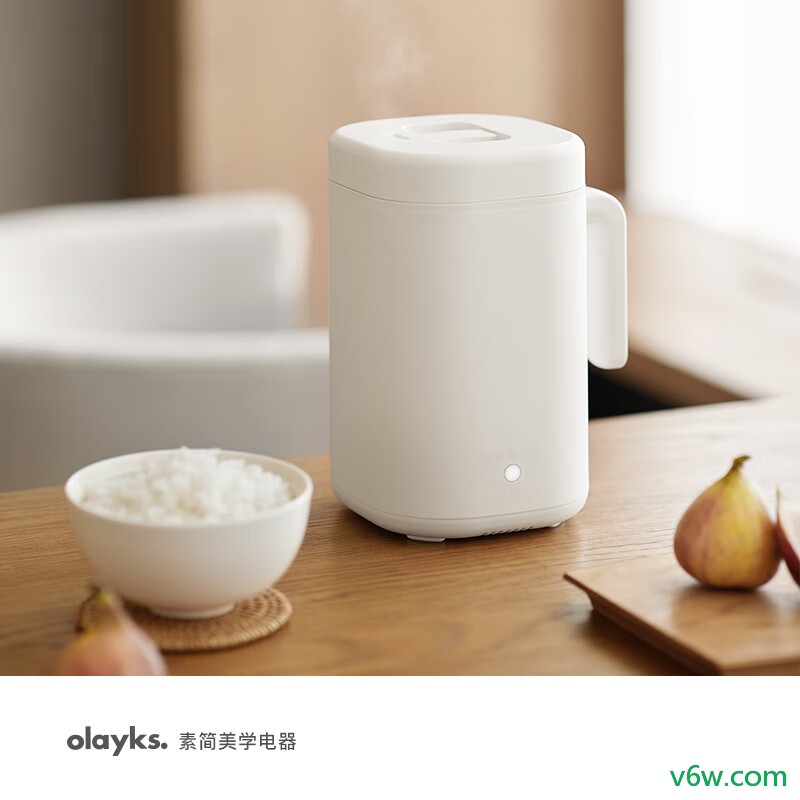 欧莱克OLK-05-01A电饭煲图片