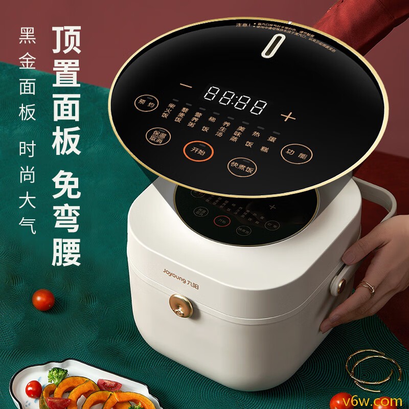 九阳F20FZ-F131(C)电饭煲图片
