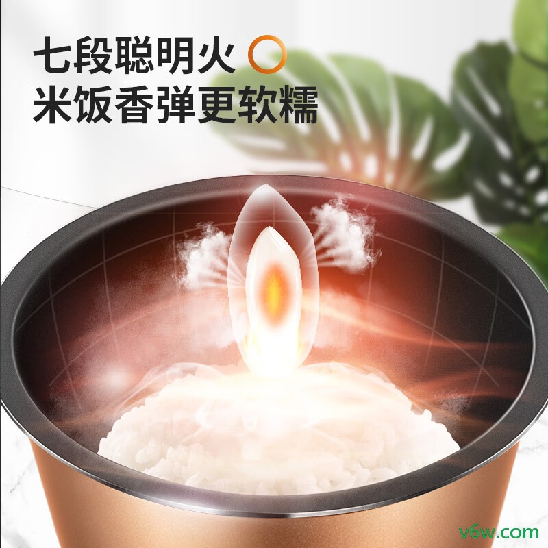 九阳JYF-50FS69电饭煲图片