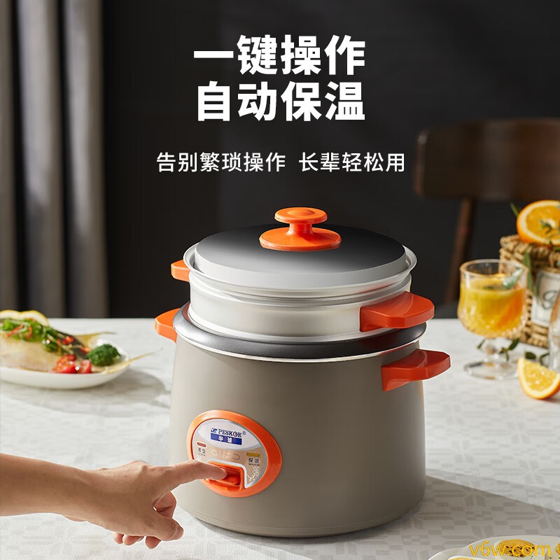 半球GM-FH20电饭煲图片