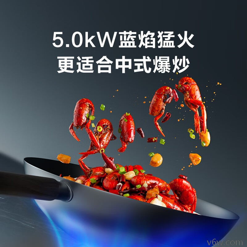 苏泊尔DB03燃气灶图片