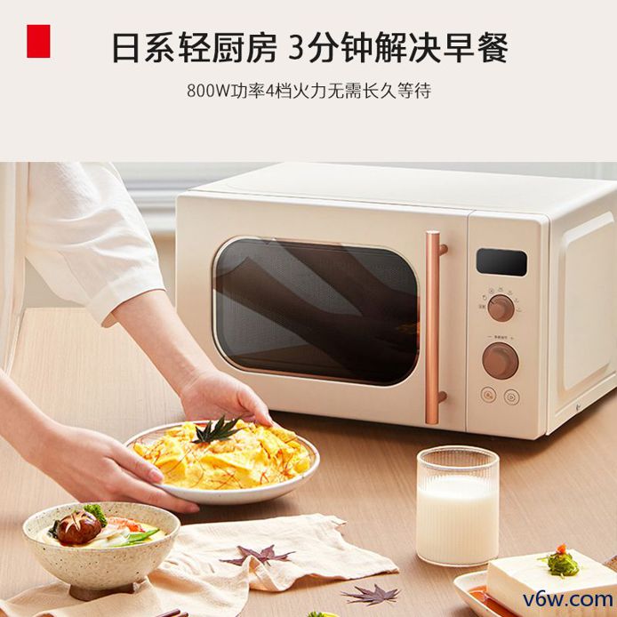 东芝ER-VS2200微波炉图片