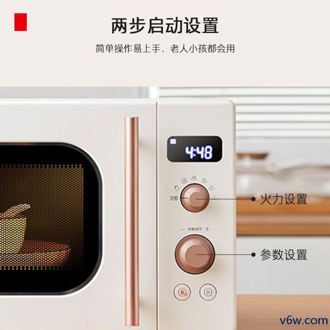 东芝ER-VS2200微波炉图片