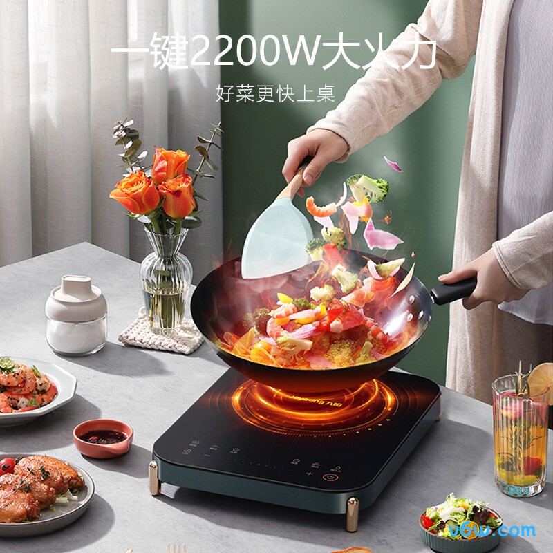 九阳C21S-C572-A4电磁炉图片