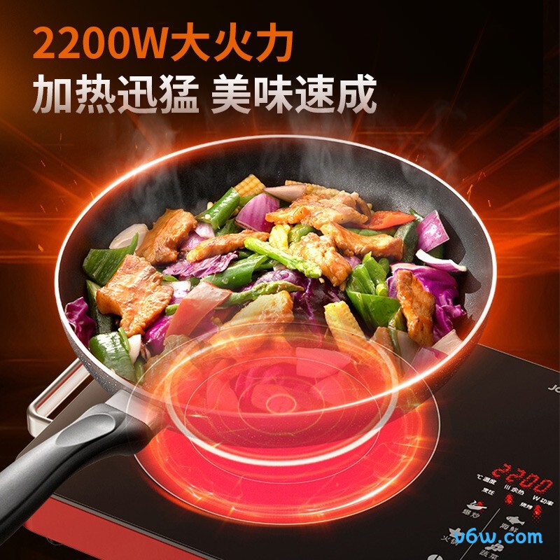 九阳H22-X2电磁炉图片