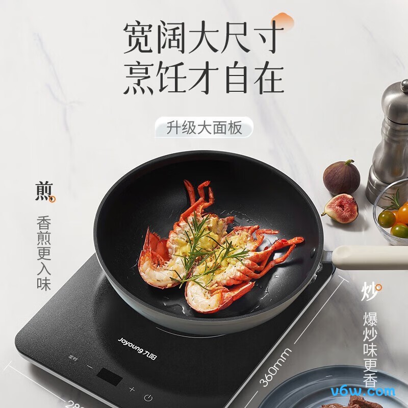 九阳C22S-N615电磁炉图片