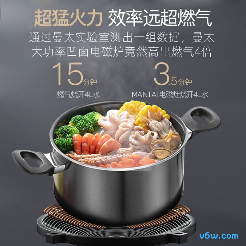 德玛太XY-A20电磁炉图片