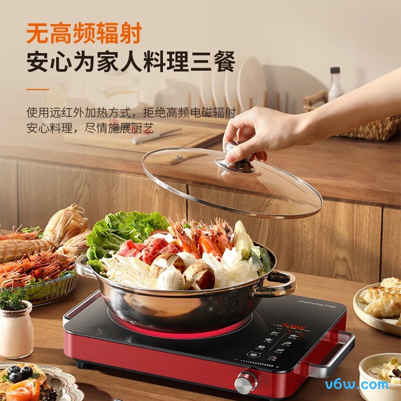 九阳H22-X2电磁炉图片