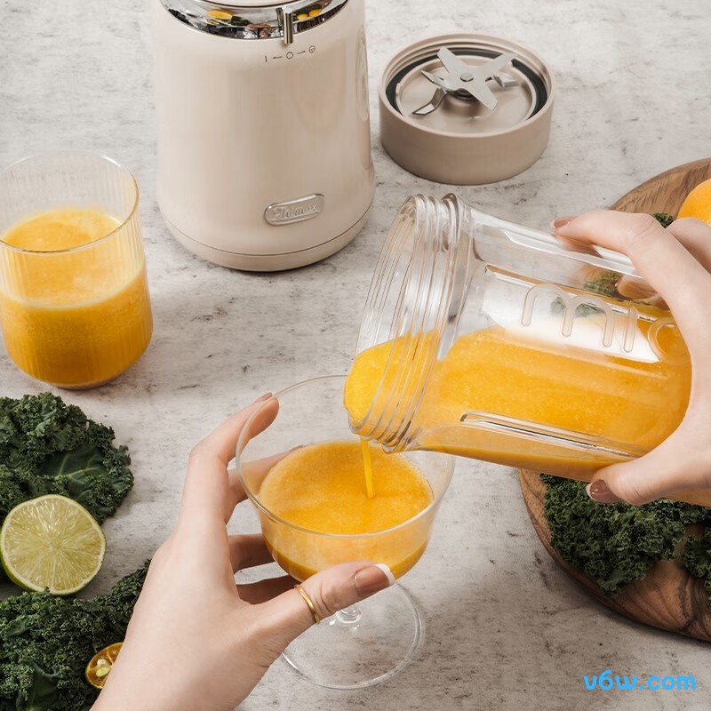 膳美师BL3455破壁机图片