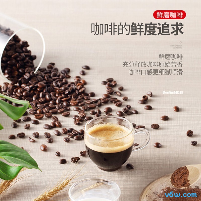 东菱DL-MD18半自动咖啡机图片