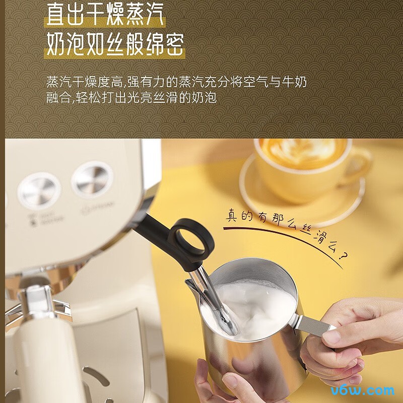 雪特朗AC-517E半自动咖啡机图片