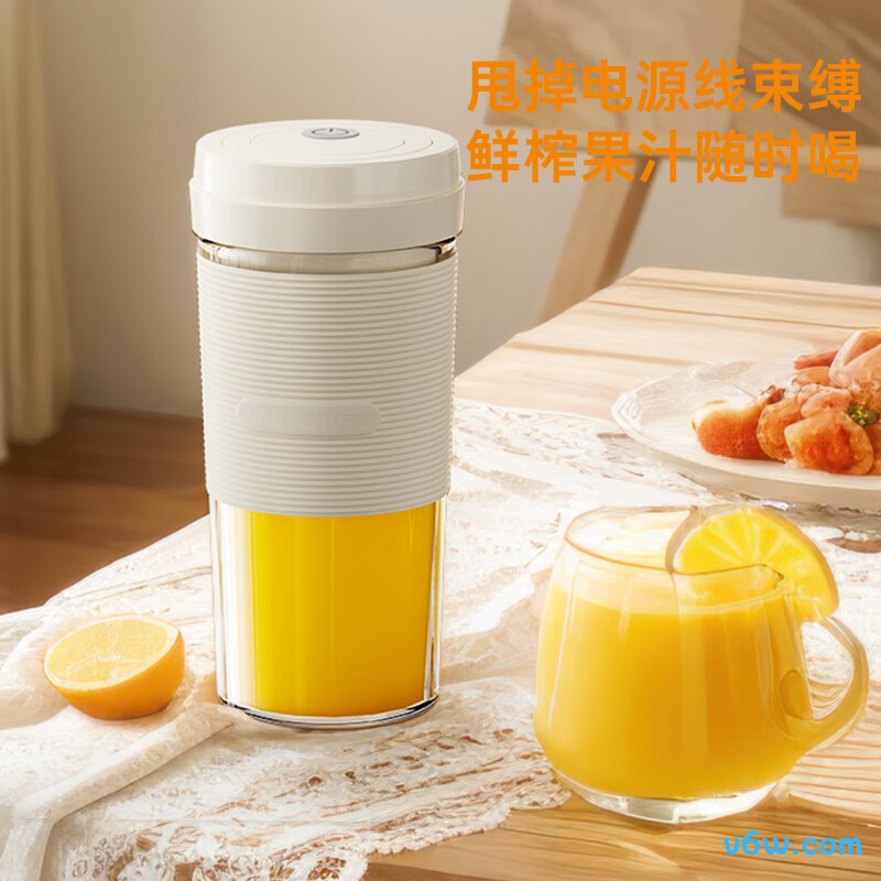 志高JGN-01榨汁机图片