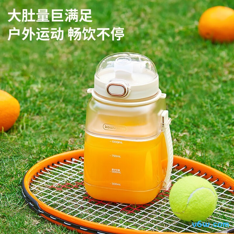 卡屋HAY-8302榨汁机图片