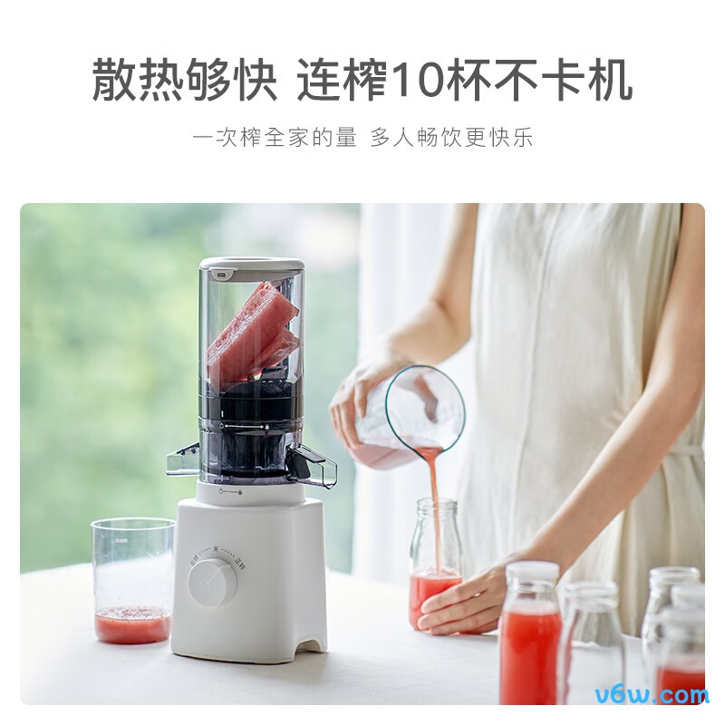 欧莱克OLK-LJ01榨汁机图片