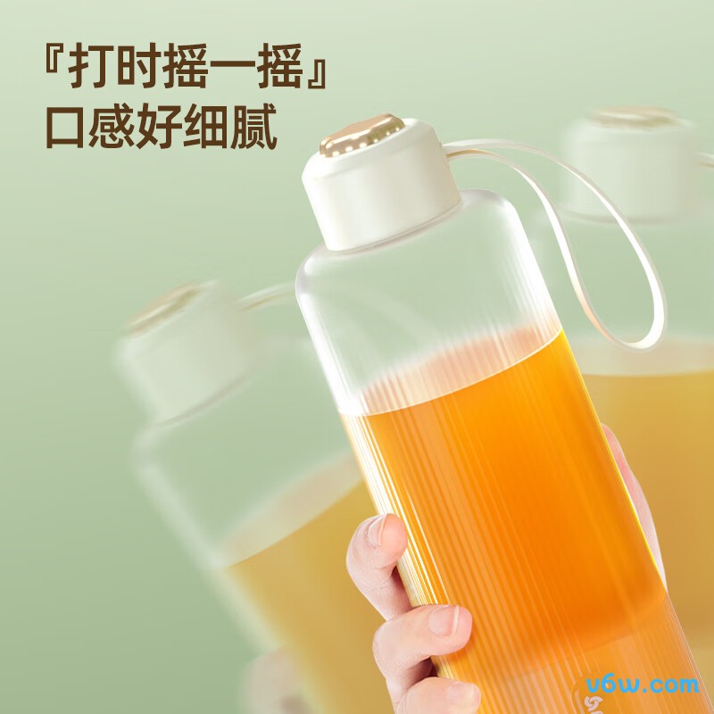 志高PY-105榨汁机图片