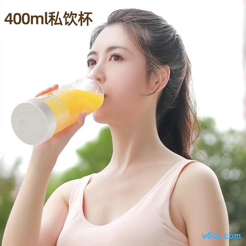 志高PY-105榨汁机图片