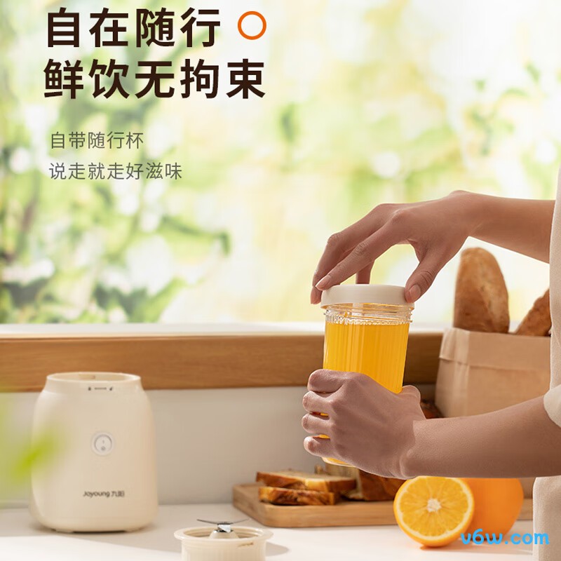 九阳L6-L621B榨汁机图片