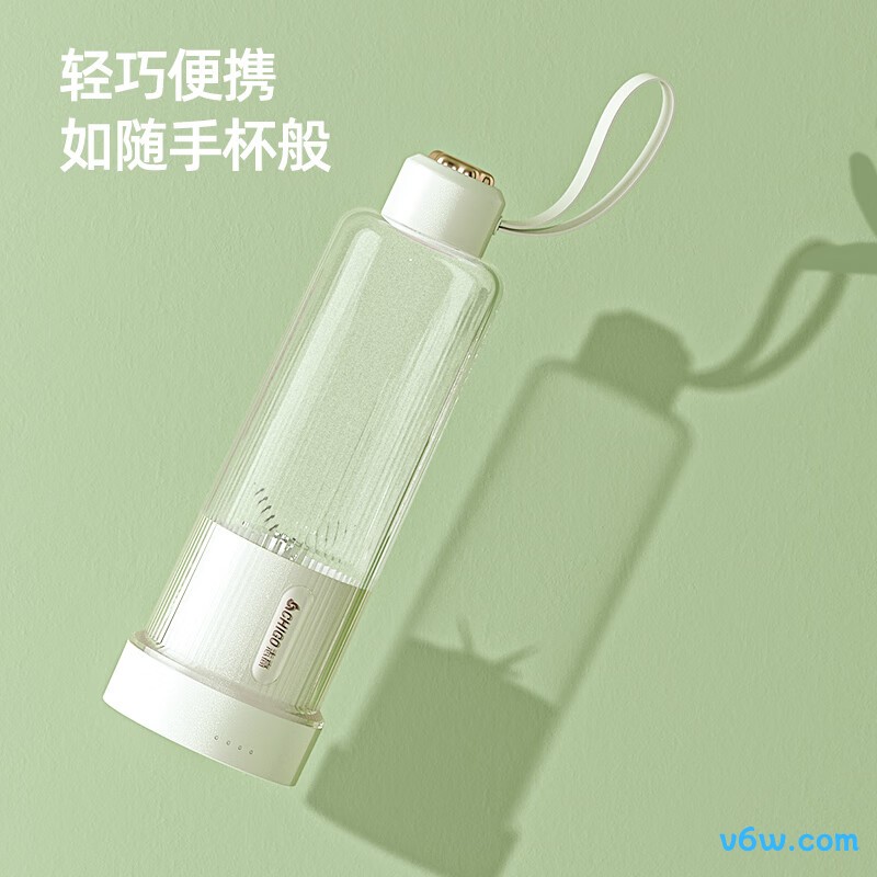 志高PY-105榨汁机图片