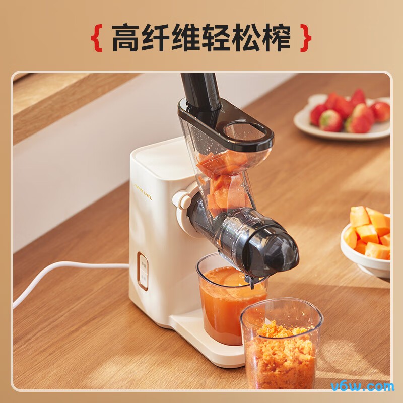 APIXINTLAPIX-SJ01榨汁机图片