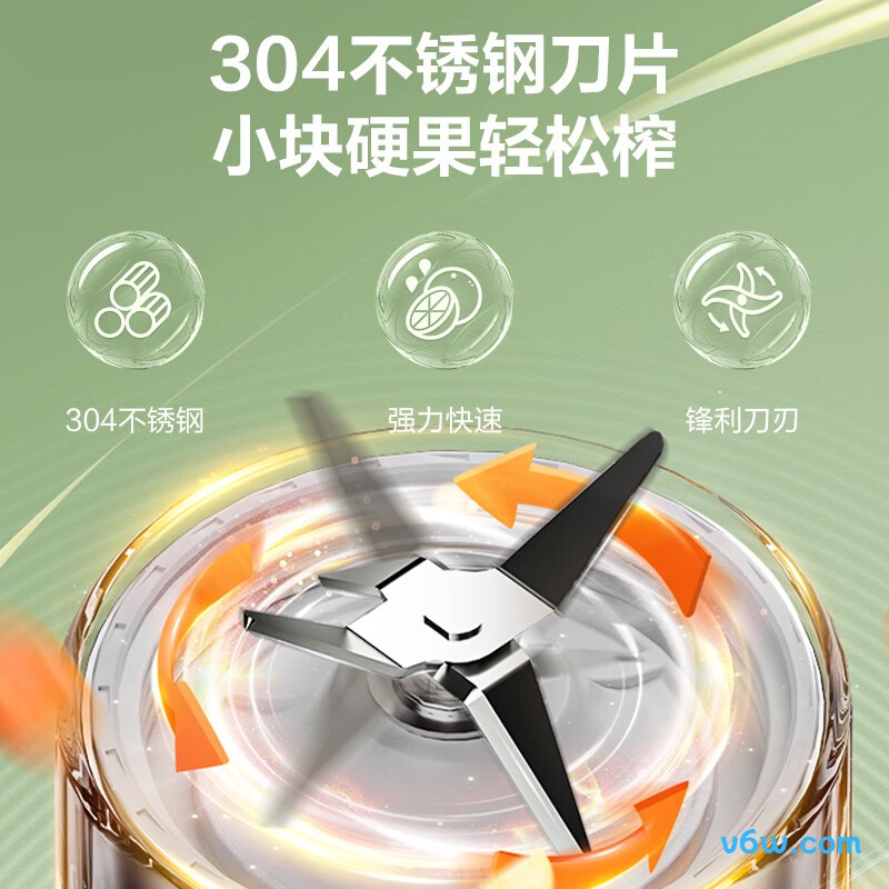 苏泊尔TJE10N榨汁机图片