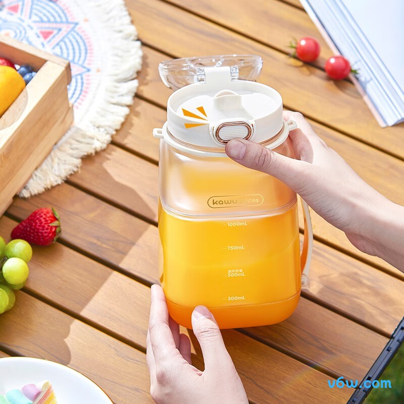 卡屋HAY-8302榨汁机图片