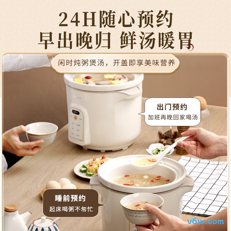 天际DGD50K22GC电炖锅图片