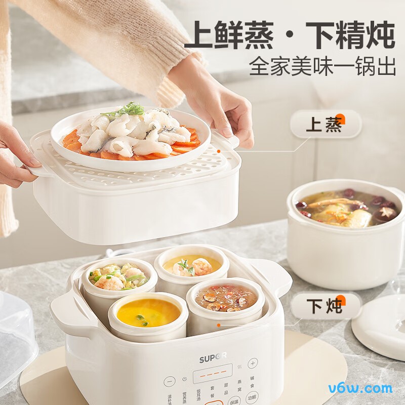 苏泊尔DZ25FC873电炖锅图片