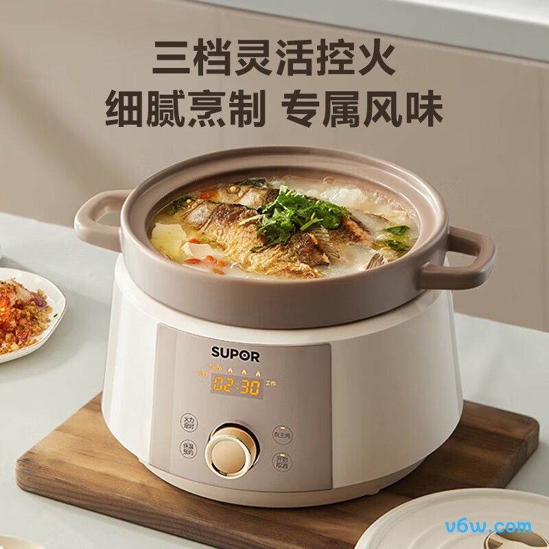 苏泊尔DG40YC867电炖锅图片