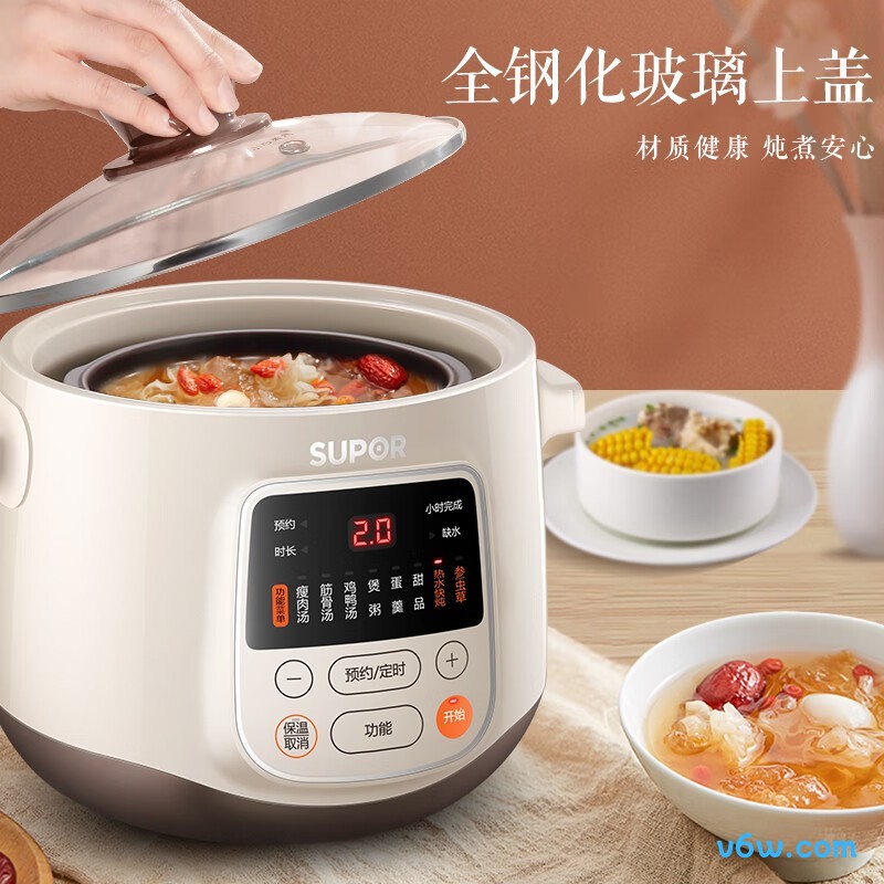 苏泊尔DZ25YC606电炖锅图片