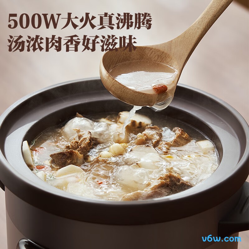 苏泊尔DG50YC872电炖锅图片