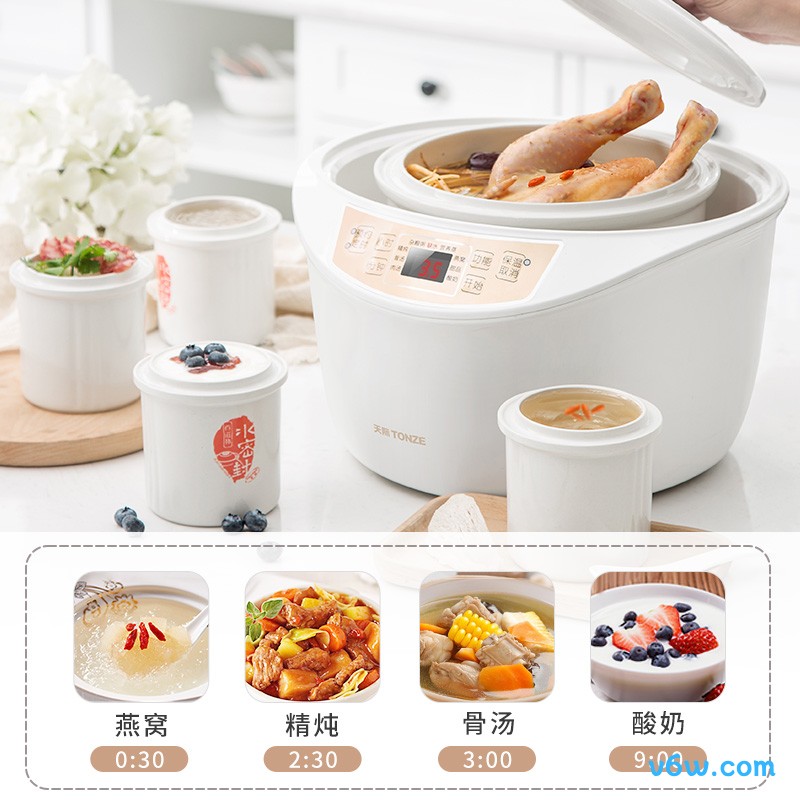 天际DGD32-W132B电炖锅图片